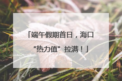 端午假期首日，海口“热力值”拉满！