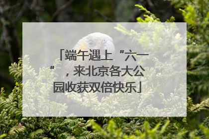 端午遇上“六一”，来北京各大公园收获双倍快乐