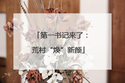 第一书记来了：荒村“焕”新颜
