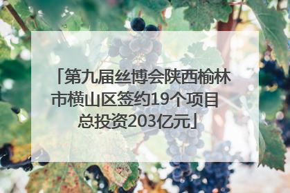 第九届丝博会陕西榆林市横山区签约19个项目 总投资203亿元