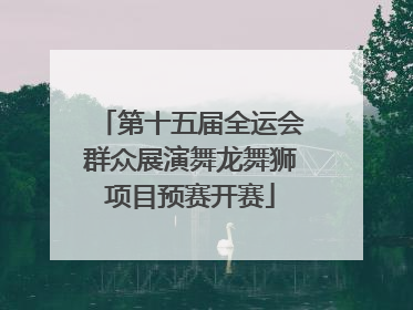 第十五届全运会群众展演舞龙舞狮项目预赛开赛