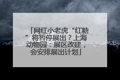 网红小老虎“红糖”将暂停展出？上海动物园：展区改建，会安排展出计划