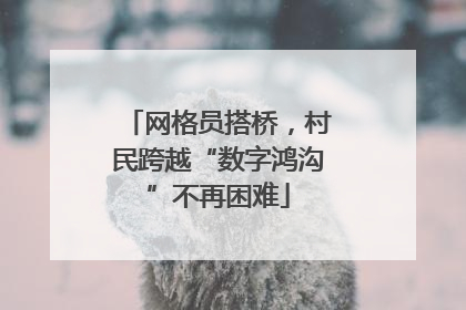 网格员搭桥，村民跨越“数字鸿沟”不再困难