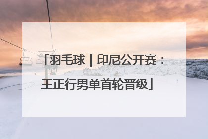 羽毛球｜印尼公开赛：王正行男单首轮晋级