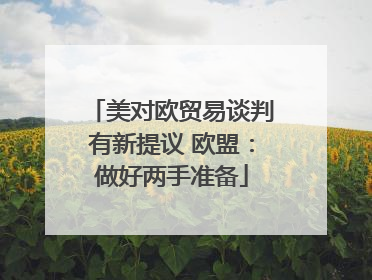 美对欧贸易谈判有新提议 欧盟：做好两手准备