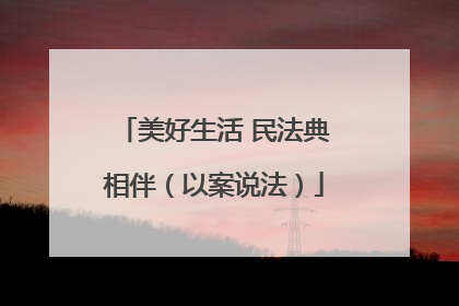 美好生活 民法典相伴（以案说法）
