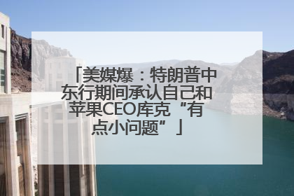 美媒爆：特朗普中东行期间承认自己和苹果CEO库克“有点小问题”