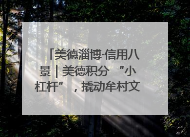 美德淄博·信用八景｜美德积分 “小杠杆”，撬动牟村文明 “大能量”