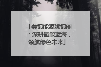 美锦能源姚锦丽：深耕氢能蓝海，领航绿色未来