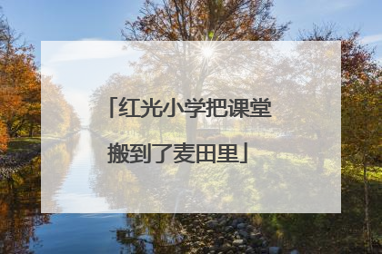 红光小学把课堂搬到了麦田里