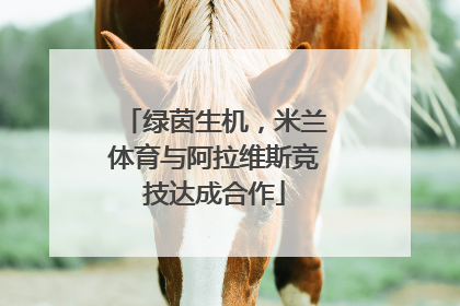 绿茵生机，米兰体育与阿拉维斯竞技达成合作