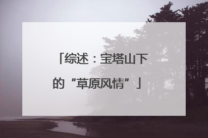 综述：宝塔山下的“草原风情”