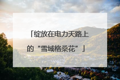 绽放在电力天路上的“雪域格桑花”