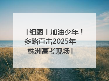 组图丨加油少年！多路直击2025年株洲高考现场