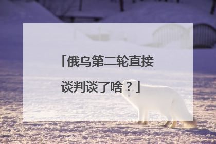 俄乌第二轮直接谈判谈了啥？
