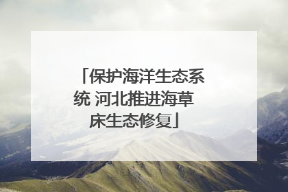 保护海洋生态系统 河北推进海草床生态修复