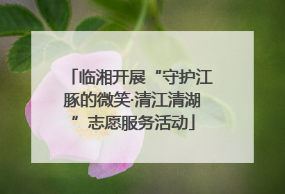 临湘开展“守护江豚的微笑·清江清湖”志愿服务活动