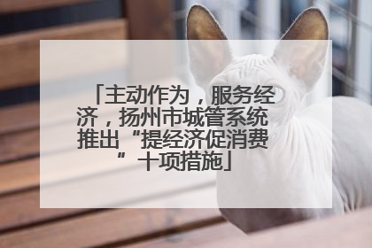 主动作为，服务经济，扬州市城管系统推出“提经济促消费”十项措施