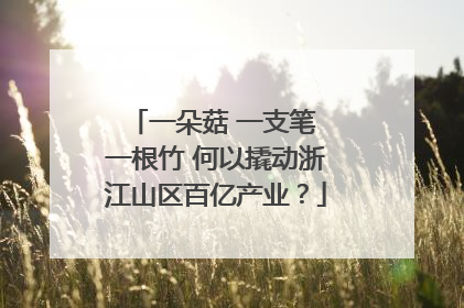 一朵菇 一支笔 一根竹 何以撬动浙江山区百亿产业？