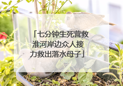 七分钟生死营救 淮河岸边众人接力救出落水母子