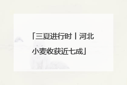 三夏进行时丨河北小麦收获近七成