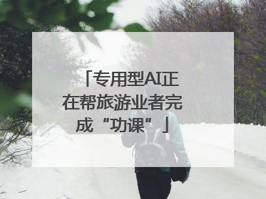 专用型AI正在帮旅游业者完成“功课”