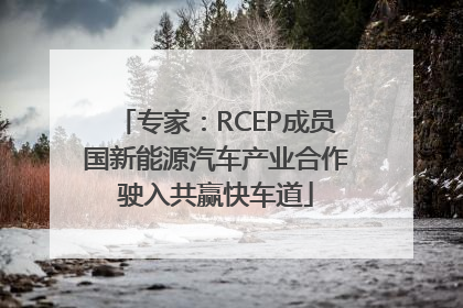 专家：RCEP成员国新能源汽车产业合作驶入共赢快车道