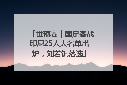 世预赛｜国足客战印尼25人大名单出炉，刘若钒落选