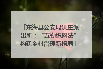 东海县公安局洪庄派出所：“五勤织网法”构建乡村治理新格局