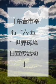 东营市举行“六·五”世界环境日宣传活动