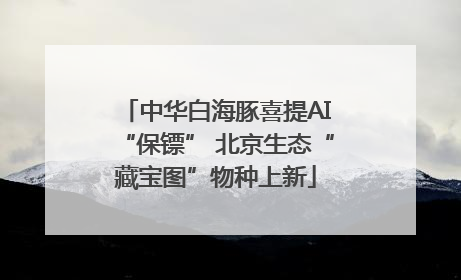 中华白海豚喜提AI“保镖” 北京生态“藏宝图”物种上新