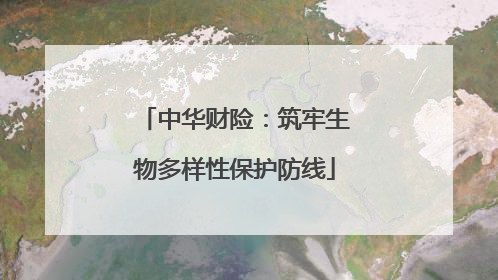中华财险：筑牢生物多样性保护防线