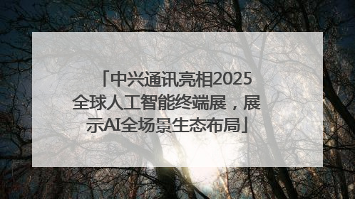 中兴通讯亮相2025全球人工智能终端展，展示AI全场景生态布局