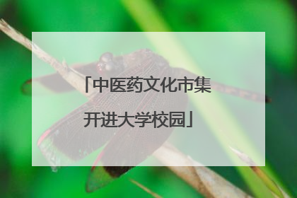 中医药文化市集开进大学校园