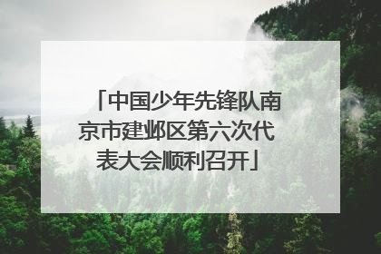 中国少年先锋队南京市建邺区第六次代表大会顺利召开