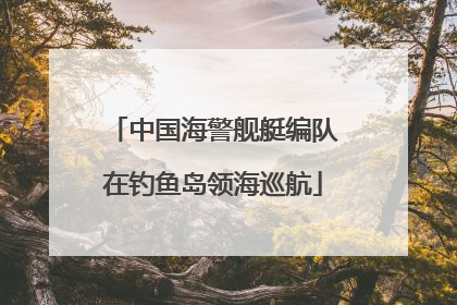 中国海警舰艇编队在钓鱼岛领海巡航