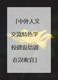 中外人文交流特色学校建设培训在汉收官
