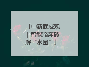 中新武威观｜智能滴灌破解“水困”