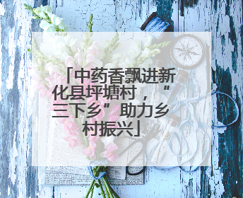 中药香飘进新化县坪塘村，“三下乡”助力乡村振兴