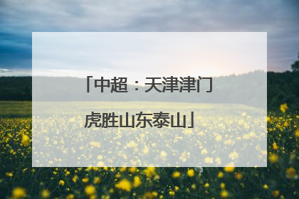 中超：天津津门虎胜山东泰山
