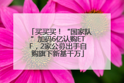 买买买！“国家队”加码6亿认购ETF，2家公募出手自购旗下新基千万