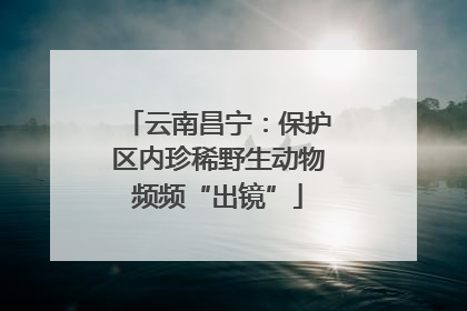 云南昌宁：保护区内珍稀野生动物频频“出镜”
