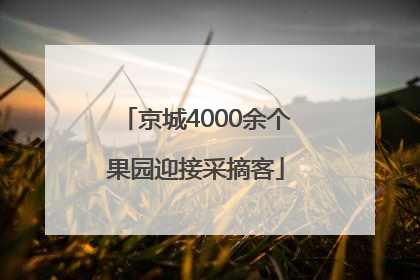 京城4000余个果园迎接采摘客