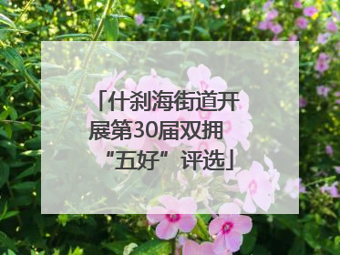 什刹海街道开展第30届双拥“五好”评选