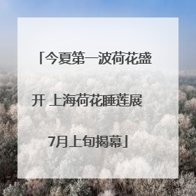 今夏第一波荷花盛开 上海荷花睡莲展7月上旬揭幕