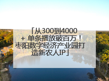 从300到4000+ 单条播放破百万！枣阳数字经济产业园打造新农人IP