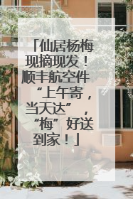仙居杨梅现摘现发！顺丰航空件“上午寄，当天达”，“梅”好送到家！