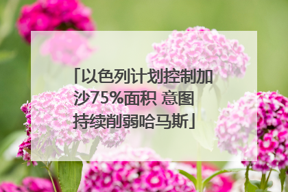 以色列计划控制加沙75%面积 意图持续削弱哈马斯