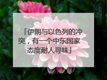 伊朗与以色列的冲突，有一个中东国家态度耐人寻味