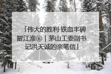 伟大的胜利·铁血丰碑耀江淮⑥｜茅山工委副书记洪天诚的亲笔信